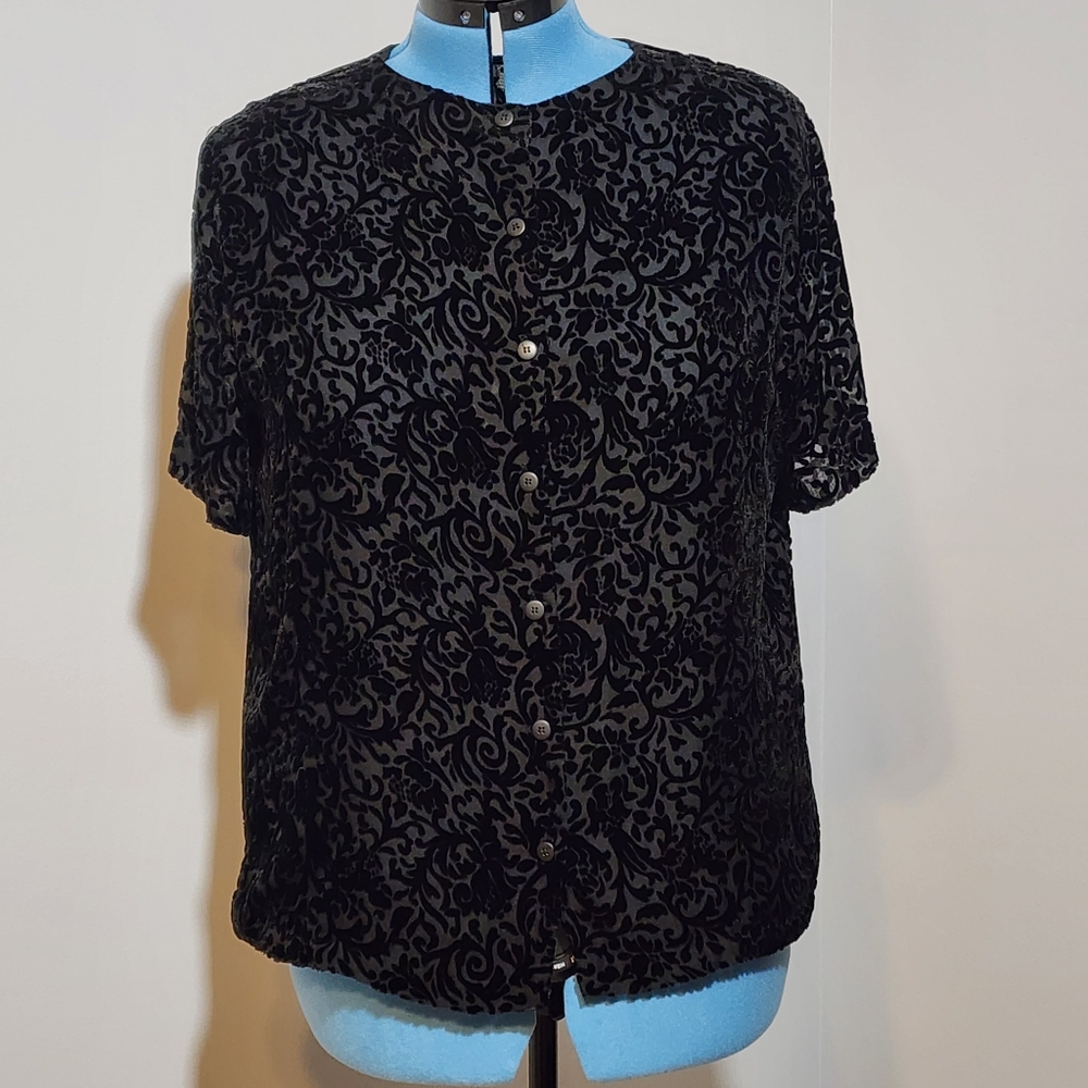 Velvet/Sheer Back-Button Short Sleeve Top